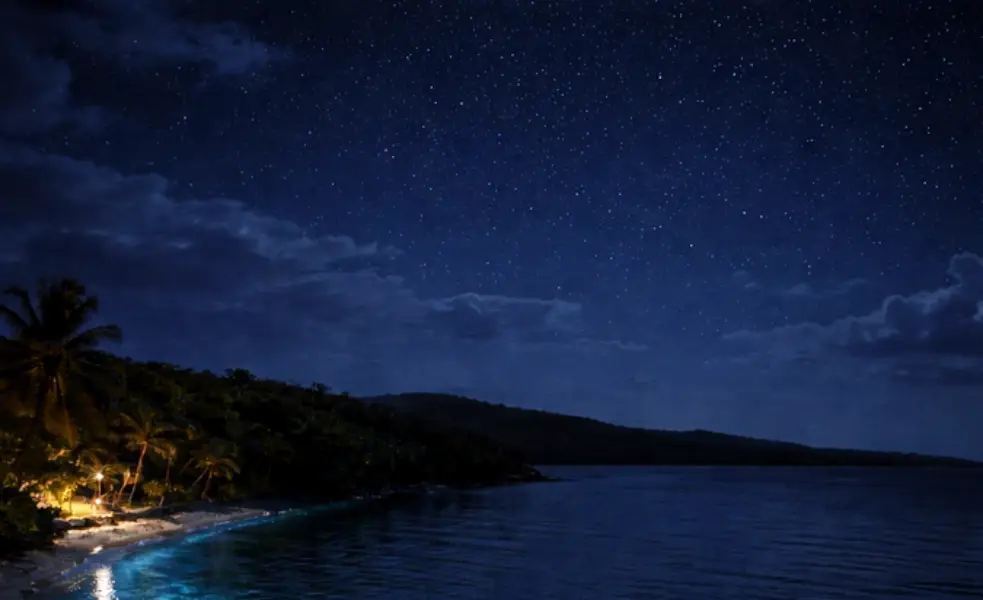 Dark new moon conditions over a tropical bay
