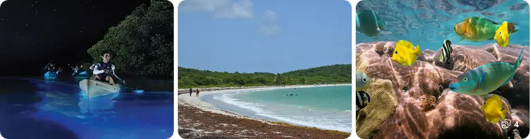 Kayaking at night, a Vieques beach, and tropical fish
